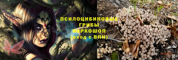 apvp Вязьма