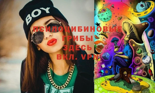 героин Вяземский